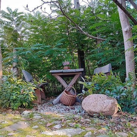 Stara Szkolas7 Noclegi,Mzajezierze 8 14-330 Mazury Maldyty Esterno foto