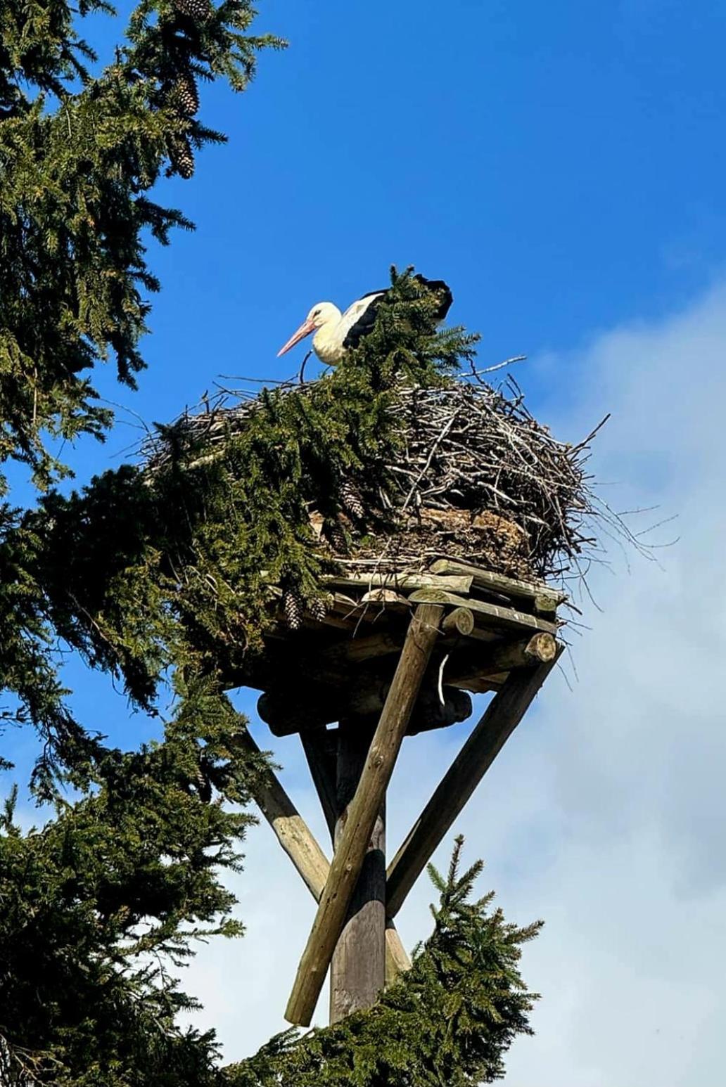 Stara Szkolas7 Noclegi,Mzajezierze 8 14-330 Mazury Maldyty Esterno foto