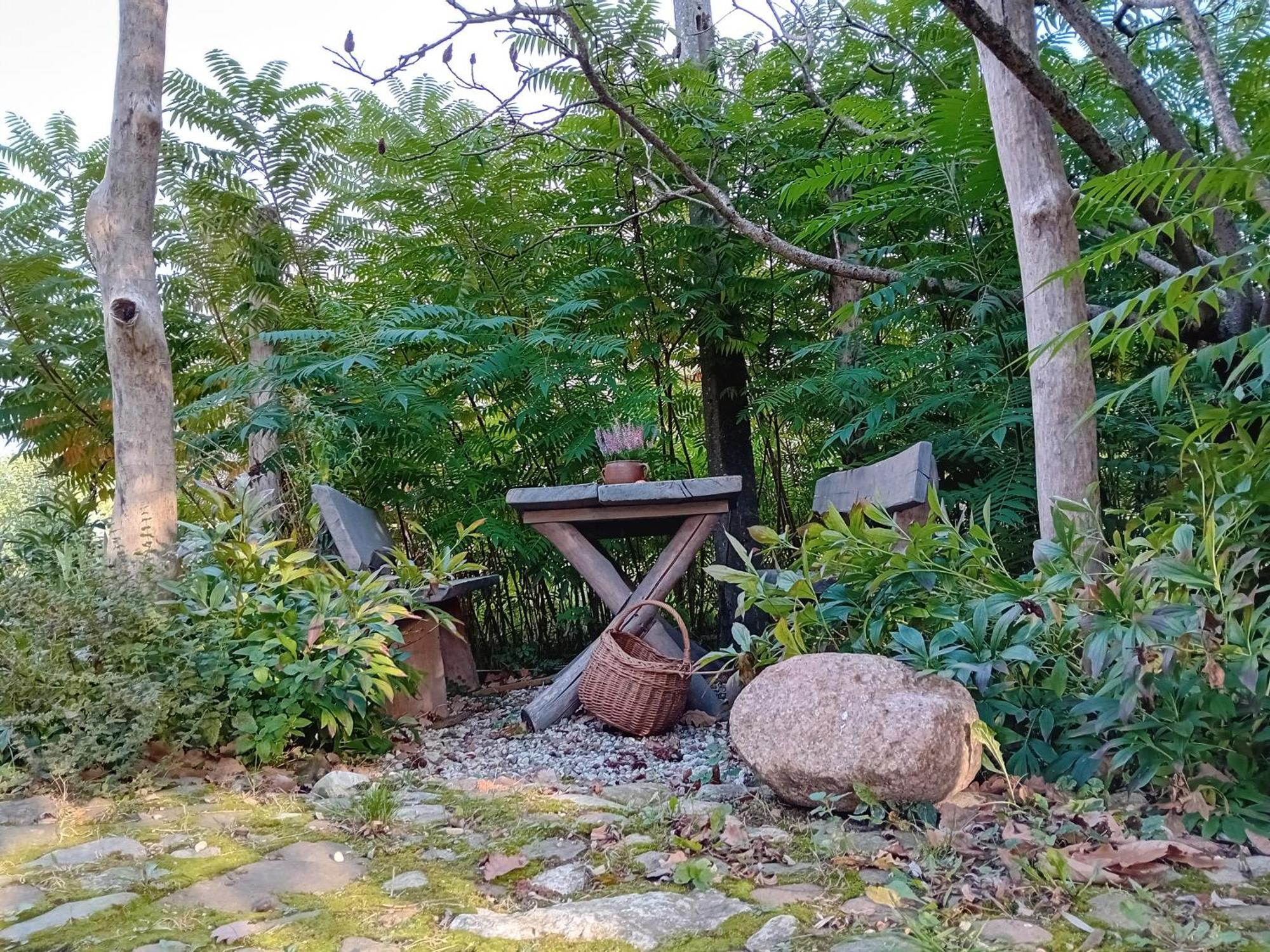 Stara Szkolas7 Noclegi,Mzajezierze 8 14-330 Mazury Maldyty Esterno foto